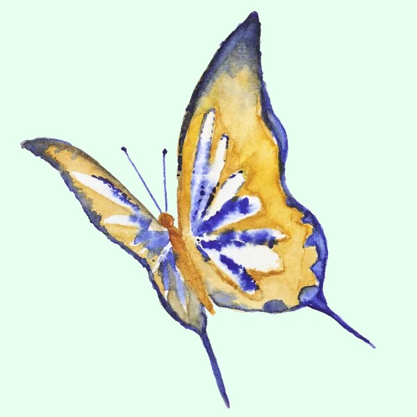Personality Test Butterfly 1